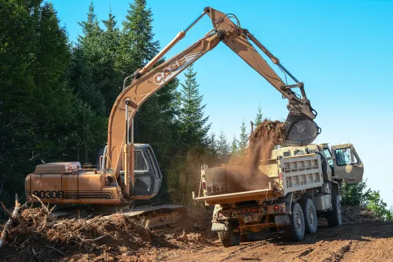 Kazino Pizazz Bingo Atbalsts